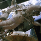Illustration for article titled Leonardo DiCaprio Brings Us Space Porn In 3-D Imax